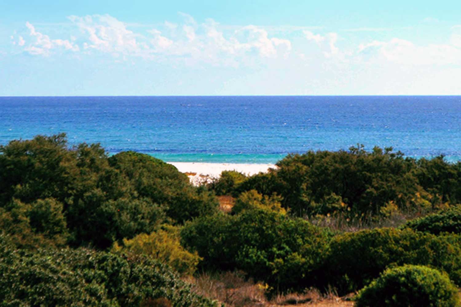 La spiaggia del Villaggio Marina Rey a Costa Rei circondata dalla fitta vegetazione mediterranea