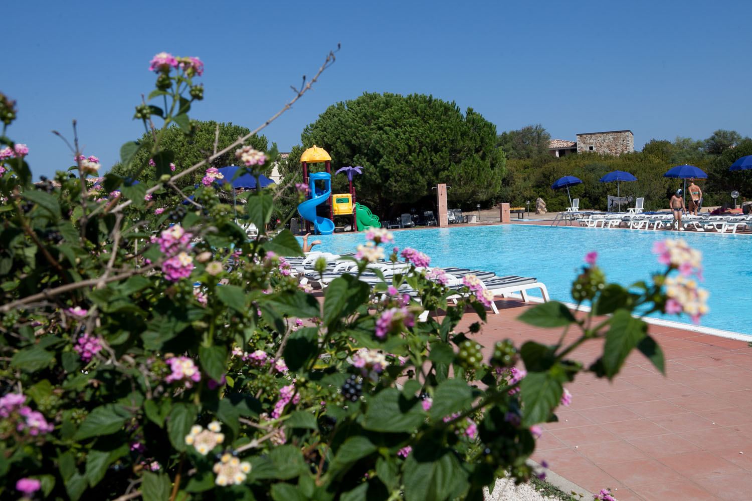 Veduta Piscina e scivoli Club Esse Gallura Beach Village